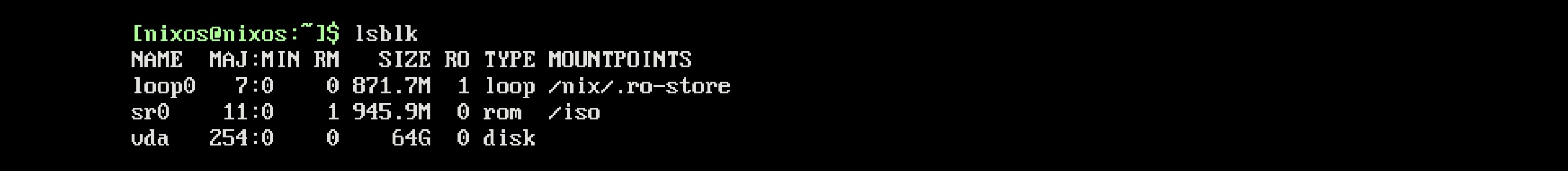 /nix/store/lwmy3r5lzv6g7ri95xsnz272nbign42a-global/nixos-install-disko/nixos-lsblk.jpeg